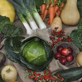 Harvest Festival