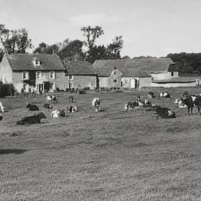 Manor Farm - Carrie and Montague Martin lived and farmed here in 1920s