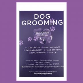 Blackberry Dog Grooming Poster