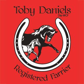 Toby Daniels, Farrier