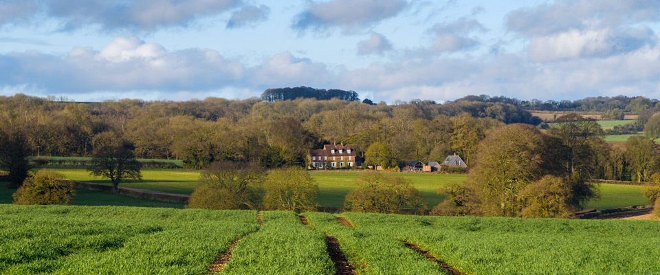 Over the fields from Sixpenny Handley - photo by Andrew Chorley